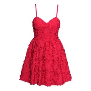 H&M Red Mini Floral Applique Dress